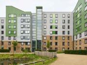 For Rent 1 Bedroom Shared Living/roommate Bradford...