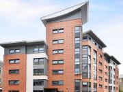 For Rent 1 Bedroom Shared Living/roommate Dundee Dundee...
