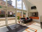 For Rent 1 Bedroom Shared Living/roommate Exeter Exeter...
