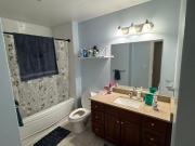 For Rent 1 Bedroom Shared Living/roommate Halifax NS...