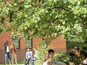 For Rent 1 Bedroom Shared Living/roommate Nottingham...