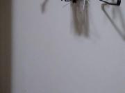 For Rent 1 Bedroom Shared Living/roommate Oakville ON...