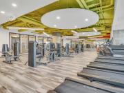 For Rent 1 Bedroom Shared Living/roommate Ottawa Ottawa...