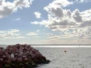 For Rent 1 Bedroom Shared Living/roommate Portsmouth...
