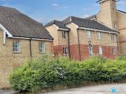 For Rent 1 Bedroom Shared Living/roommate Rochester...