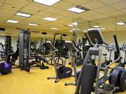 For Rent 1 Bedroom Shared Living/roommate Toronto...