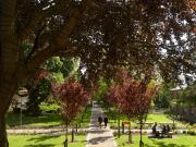 For Rent 1 Bedroom Shared Living/roommate York York...
