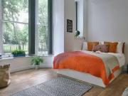 For Rent! 1 BR 134 New Walk Classic Bigger Studio