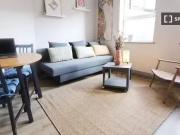 Nice 1 BR Studio for rent in Inns Quay, Dublin