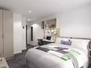 Cozy 1 BR True Superior Studio