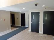 For rent: 229 Argyle Ave Ottawa, Bach Viewit |163135