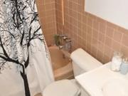 For rent: 26 June St Brampton, 3+ bdrm Viewit |50424