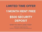 For Rent 2.5 Bedroom Apartment Langley BC DS74027919 For Rent 2.5 Bedroom Apartment Langley BC DS74027919