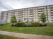 For Rent 2 Bedroom Apartment Brantford ON DLS87054981