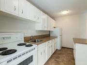 For Rent 2 Bedroom Apartment Calgary AB DS96275511