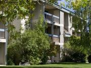 For Rent 2 Bedroom Apartment Calgary AB DS96586191