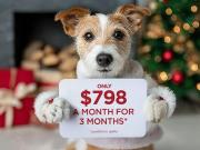 For Rent 2 Bedroom Apartment Calgary AB DS97741518