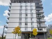 For Rent 2 Bedroom Apartment Edmonton AB DS96248878