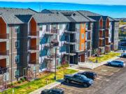 For Rent 2 Bedroom Apartment Edmonton AB DS96249081