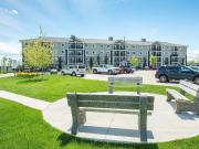 For Rent 2 Bedroom Apartment Edmonton AB DS96276067