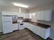 For Rent 2 Bedroom Apartment Edmonton AB DS96276077