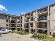 For Rent 2 Bedroom Apartment Edmonton AB DS96299013