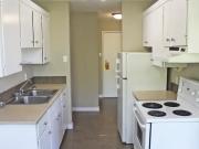 For Rent 2 Bedroom Apartment Edmonton AB DS98259233