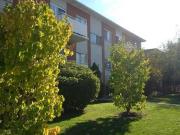 For Rent 2 Bedroom Apartment Guelph ON DS91749782