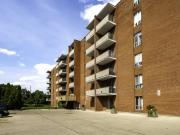 For Rent 2 Bedroom Apartment Guelph ON DS96585033