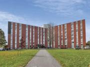 For Rent 2 Bedroom Apartment Kingston ON DS94298013