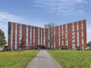 For Rent 2 Bedroom Apartment Kingston ON DS96286310