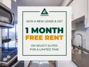 For Rent 2 Bedroom Apartment Kitchener ON DLS86966716