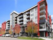 For Rent 2 Bedroom Apartment Langley BC DS96253609