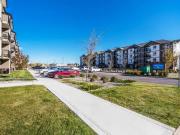 For Rent 2 Bedroom Apartment Lethbridge AB DLS99221932