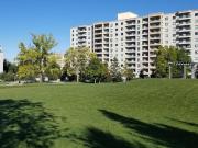 For Rent 2 Bedroom Apartment London ON DS98315005