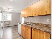 For Rent 2 Bedroom Apartment Medicine Hat AB DLS90361513