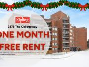 For Rent 2 Bedroom Apartment Mississauga ON DLS97116076