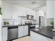 For Rent 2 Bedroom Apartment Oshawa ON DS98290180