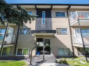 For Rent 2 Bedroom Apartment Red Deer AB DS97741840