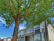 For Rent 2 Bedroom Apartment Strathmore AB DS98746988