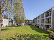 For Rent 2 Bedroom Apartment Surrey BC DS92193297