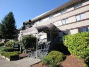 For Rent 2 Bedroom Apartment Surrey BC DS93690734