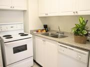 For Rent 2 Bedroom Apartment Toronto ON DS11024393