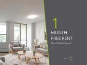 For Rent 2 Bedroom Apartment Toronto ON DS91976797