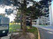 For Rent 2 Bedroom Apartment Toronto ON DS94985342