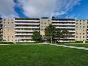 For Rent 2 Bedroom Apartment Toronto ON DS96296507