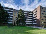 For Rent 2 Bedroom Apartment Toronto ON DS96585071