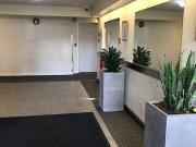 For Rent 2 Bedroom Apartment Victoria BC DS97328541