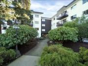 For Rent 2 Bedroom Apartment Victoria BC DS99678027