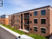 For Rent 2 Bedroom Apartment Windsor ON DS100527531